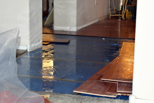 Professional Water Damage technician working in Mansfield, AR